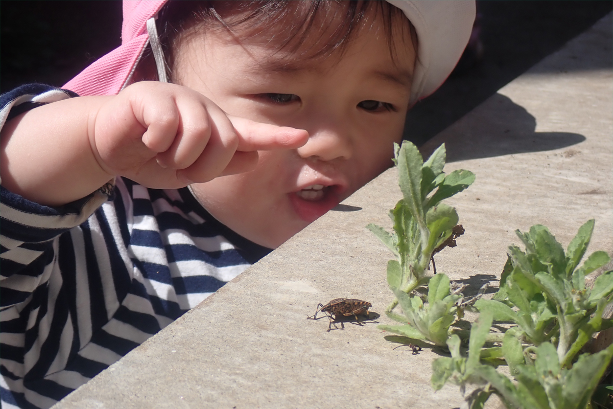 代田仁慈保幼園の子どもたちの遊び・生活3