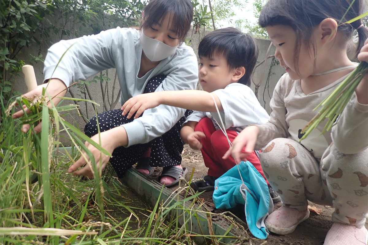 代田仁慈保幼園の子どもたちの遊び・生活20